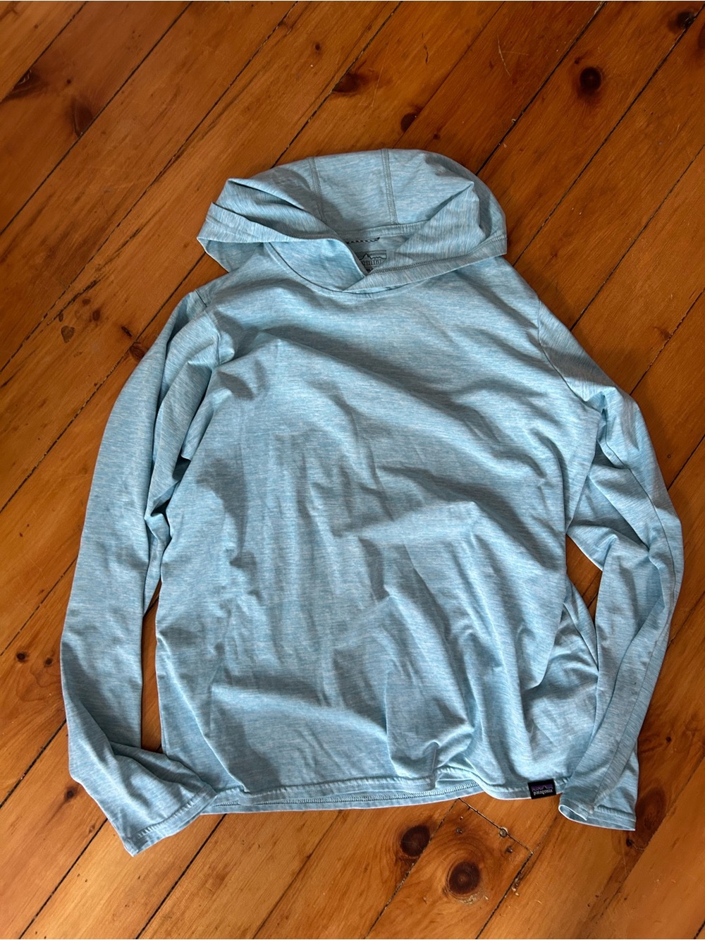Patagonia Heather blue Capilene Cool Daily Hoody women’s medium